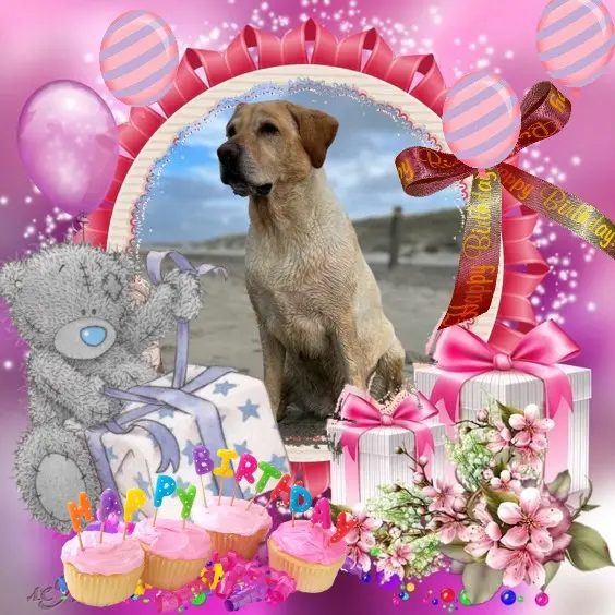 Andachtsbild von Alles Liebe❤️❤️❤️zum Geburtstag❤️