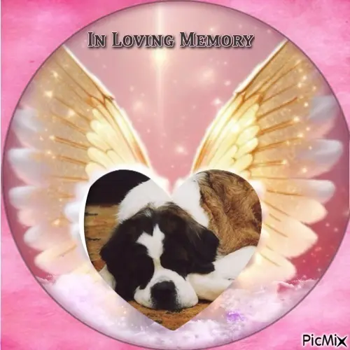 Andachtsbild von ❤️❤️❤️❤️❤️❤️❤️❤️❤️❤️❤️❤️