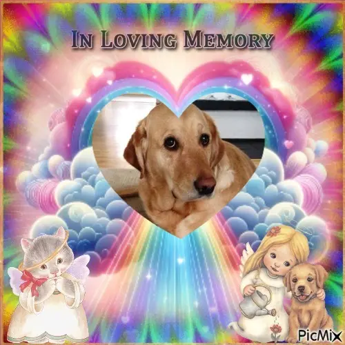 Andachtsbild von 6. Sternchen❤️Gedenktag❤️