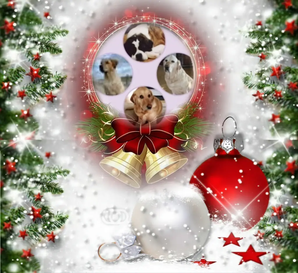 Andachtsbild von Frohe Weihnachten❤️⭐️❤️