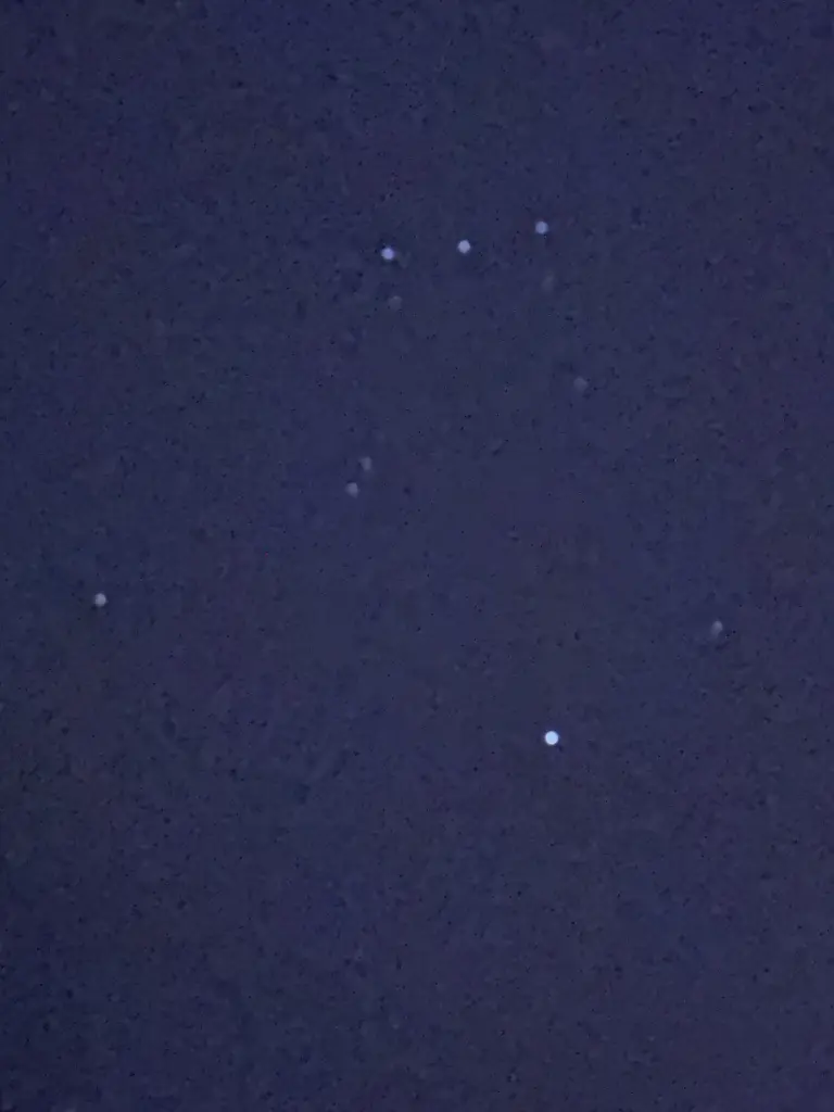 Andachtsbild von Brigitta