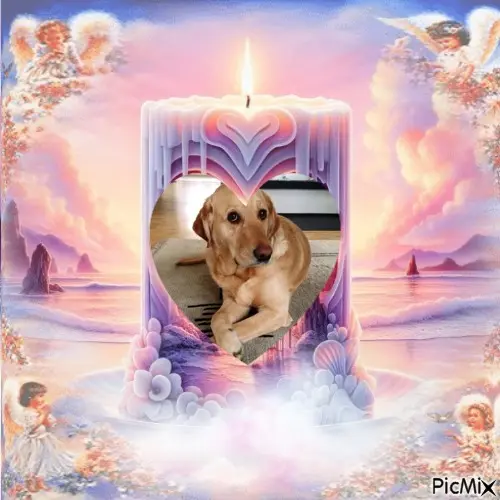 Andachtsbild von ❤️❤️❤️❤️❤️❤️❤️❤️❤️❤️❤️❤️