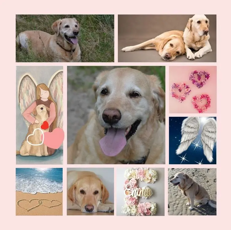 Andachtsbild von Zum 7. Sternchentag für Emma