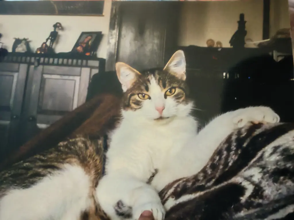 Bild von Mäxchen