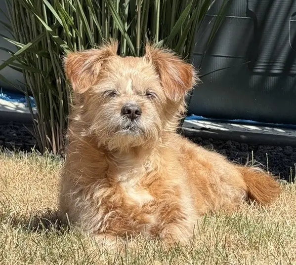 13 Jahre