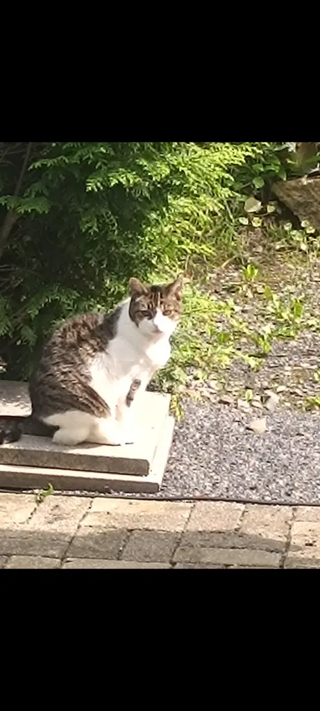 Bild von Kim
