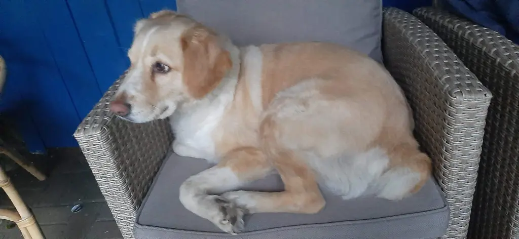 Bild von Abby