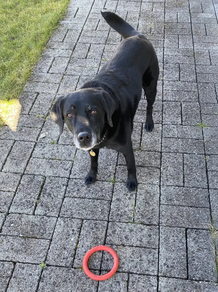 Andachtsbild von Natalie