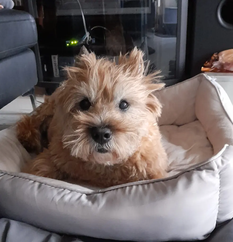 Image from Djego