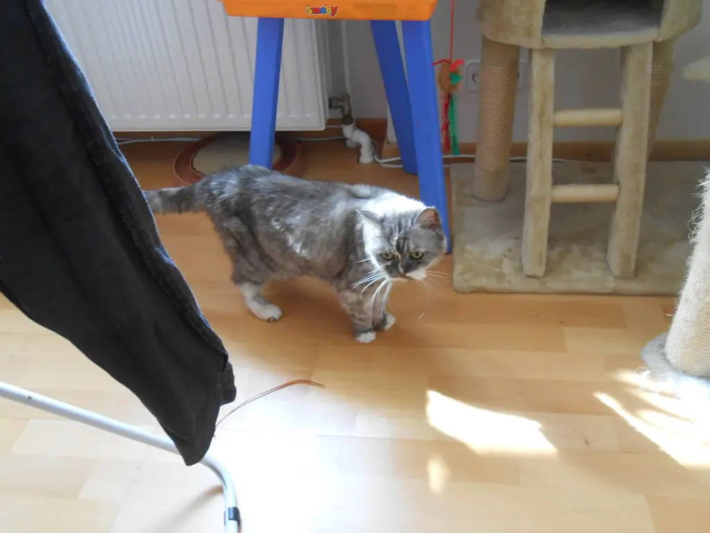 Image from Brandy