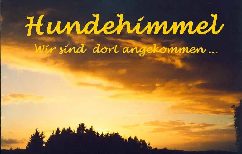 Andachtsbild von Helmut mit Benny im Herzen