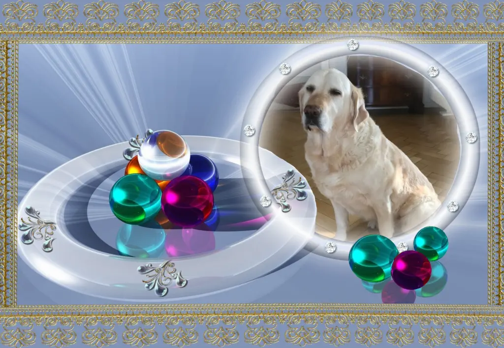 Andachtsbild von Klaudia mit Misiu❤❤❤Ganz Tief im Herzen❤