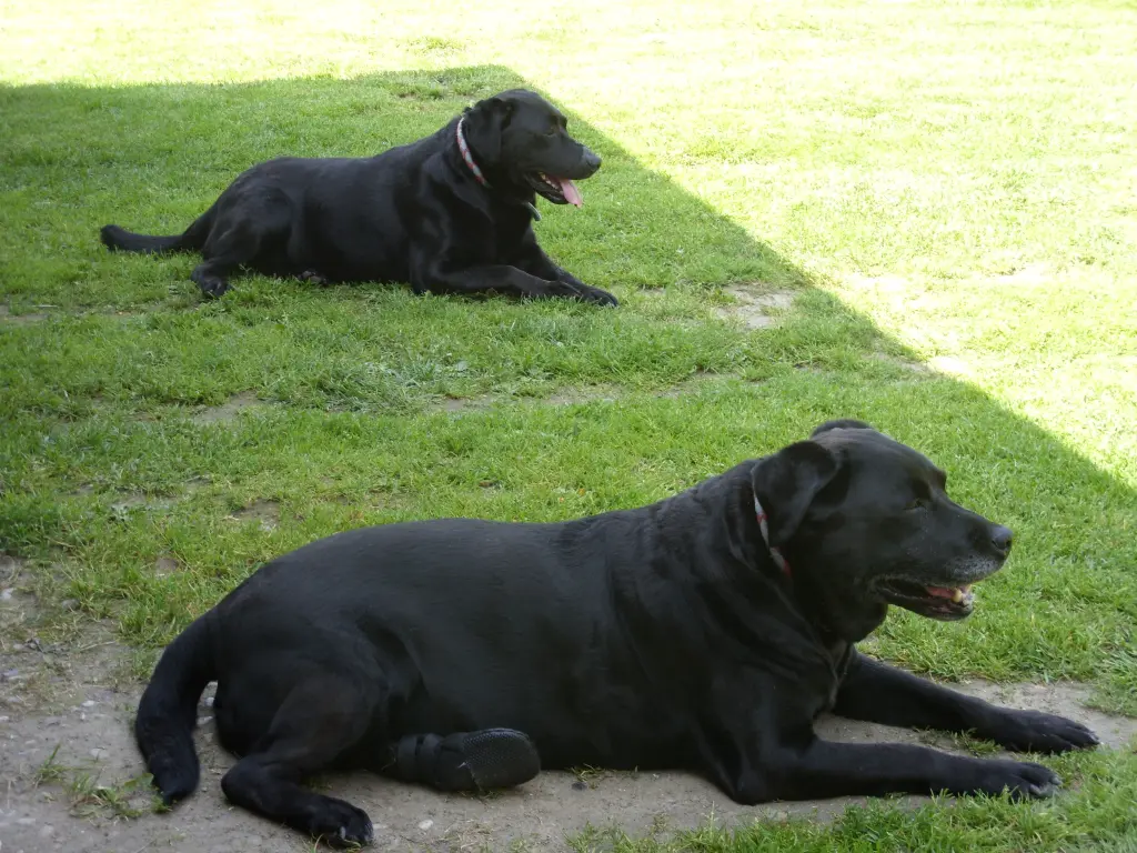 Andachtsbild von Evelyn mit Nele und Lara tief im Herzen