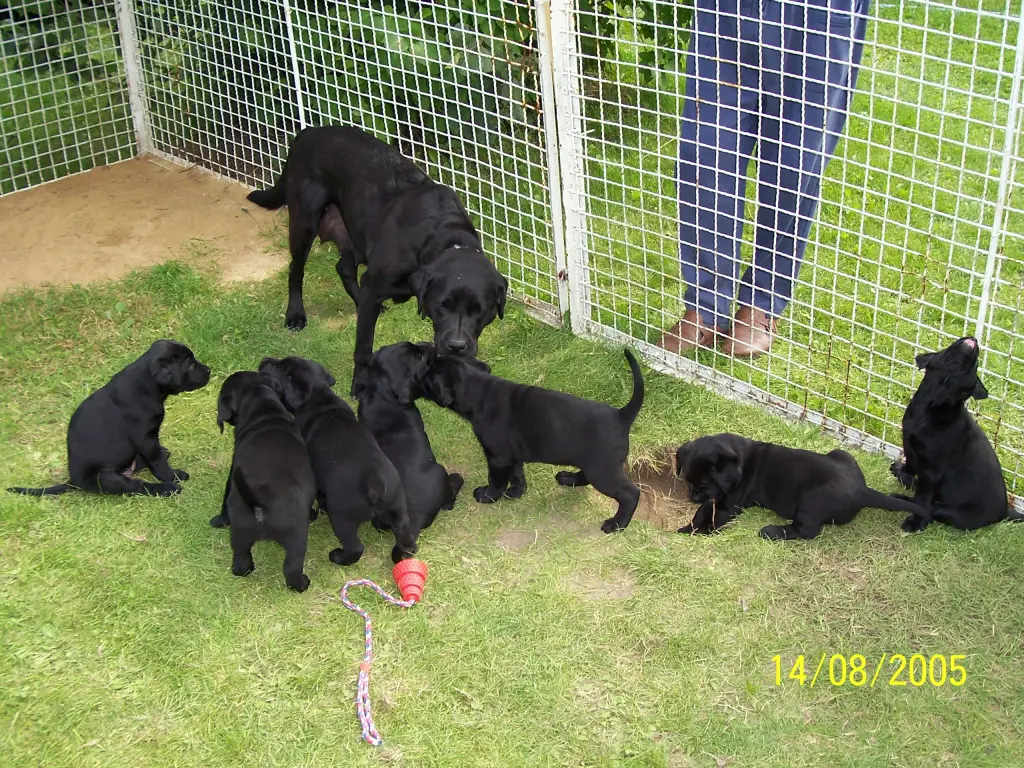 Andachtsbild von Unbekannt