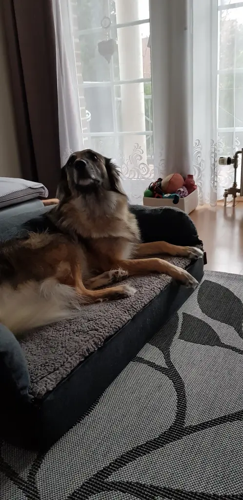 Andachtsbild von Fur Liebe Brigitta❤️