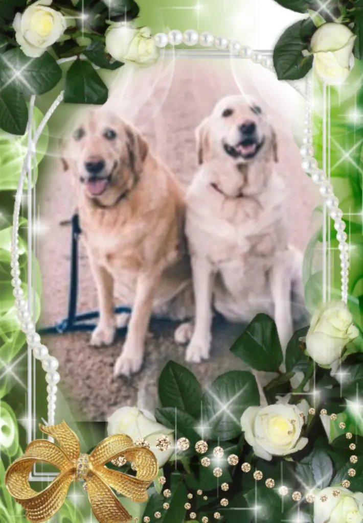 Andachtsbild von Liebe Paula❤️