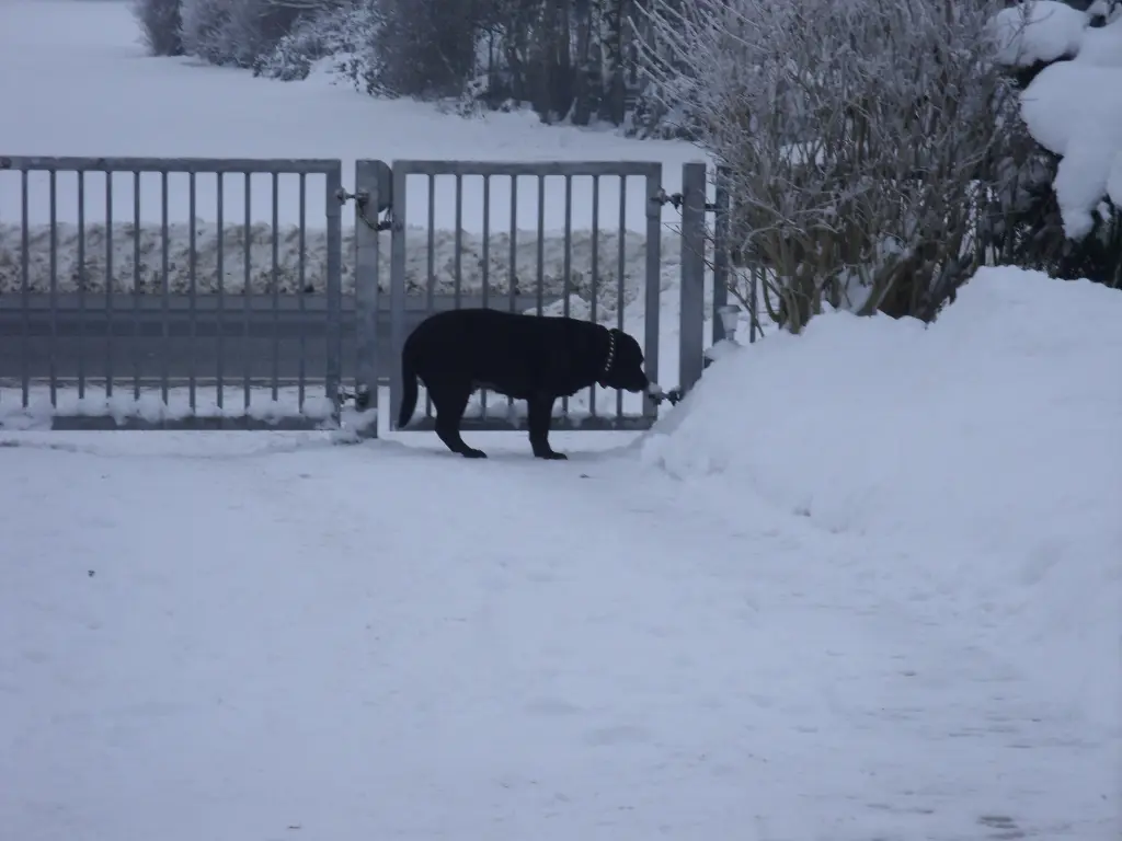 Andachtsbild von Unbekannt