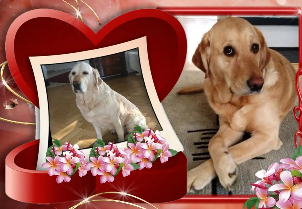 Andachtsbild von Liebe Paula❤️