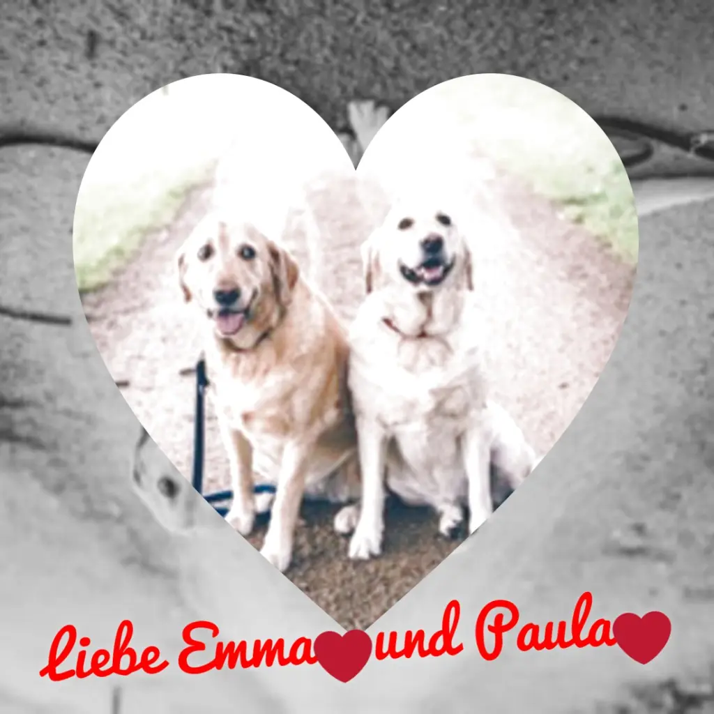 Andachtsbild von Liebe Paula❤️