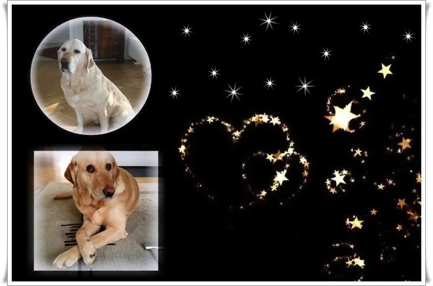 Andachtsbild von Gute Nacht❤️