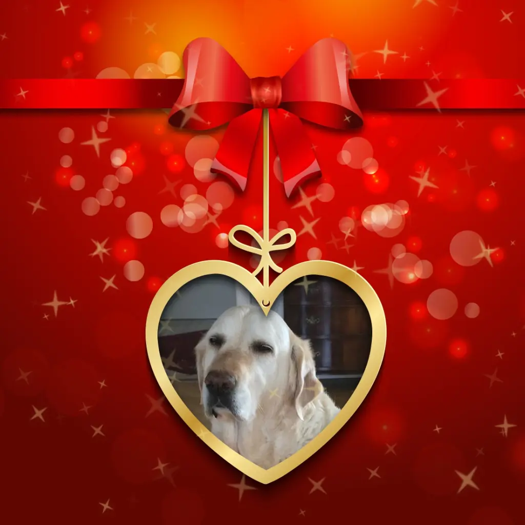 Andachtsbild von Liebe Paula❤️