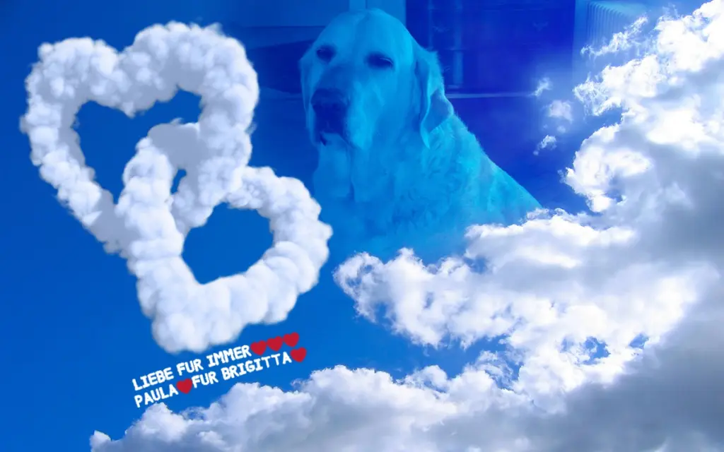 Andachtsbild von ❤️❤️❤️