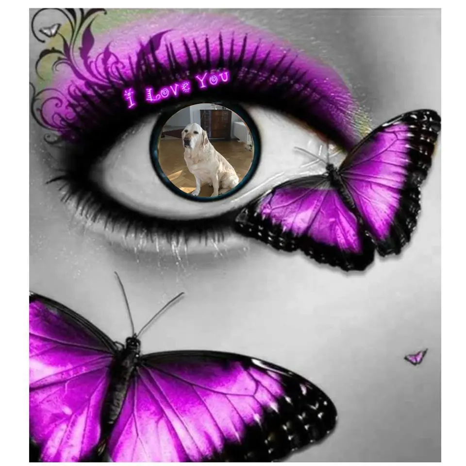 Andachtsbild von ❤️❤️❤️