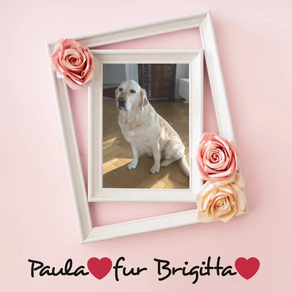 Andachtsbild von ❤️❤️❤️