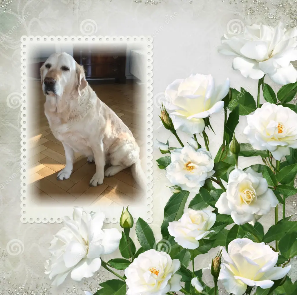 Andachtsbild von ❤️❤️❤️