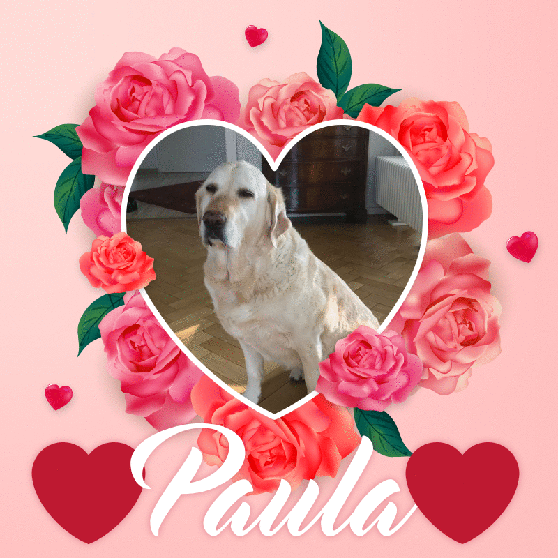 Andachtsbild von ❤️❤️❤️