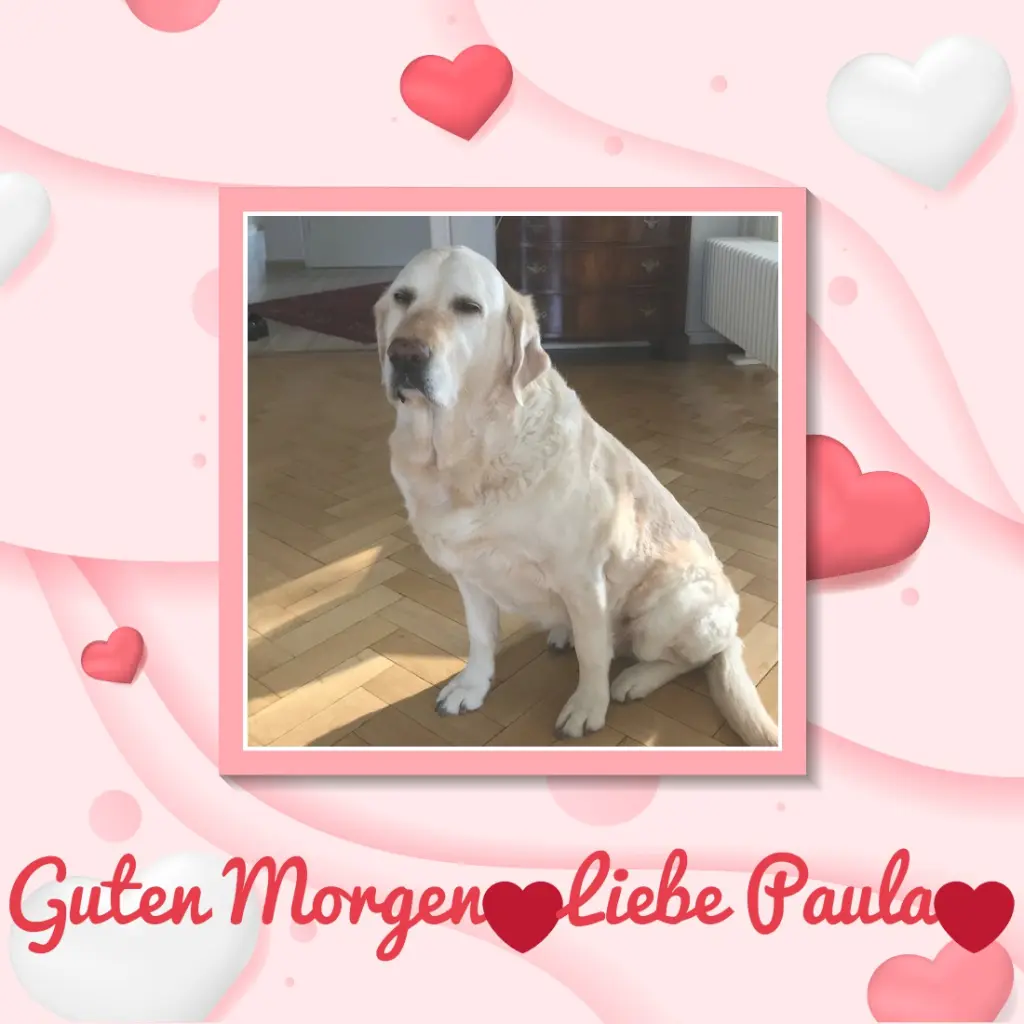 Andachtsbild von Sonntags Rosen fur Paula❤️