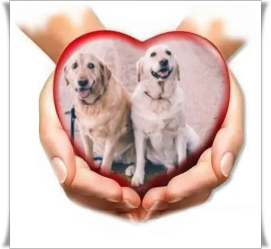 Andachtsbild von ❤️❤️❤️