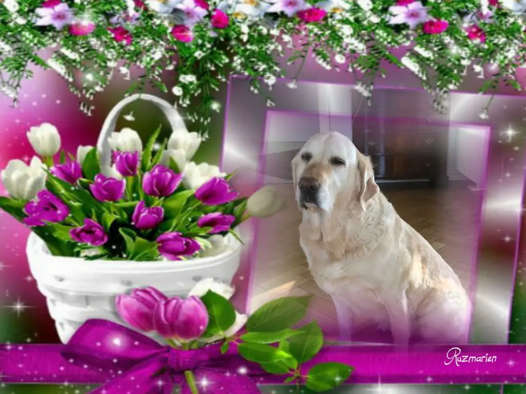 Andachtsbild von ❤️❤️❤️