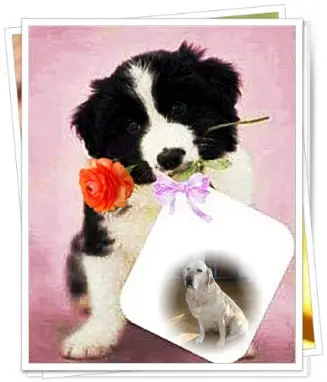 Andachtsbild von ❤️❤️❤️