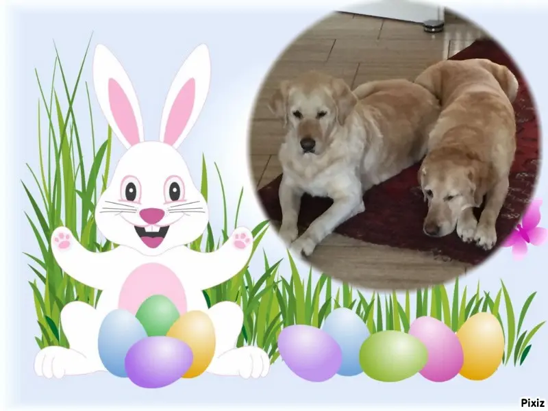 Andachtsbild von ❤️❤️❤️