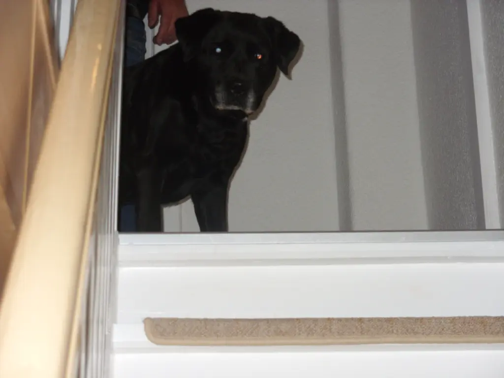 Andachtsbild von Unbekannt