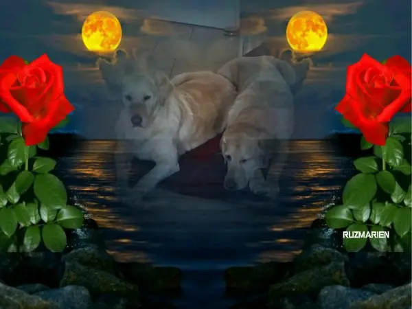 Andachtsbild von ❤️❤️❤️