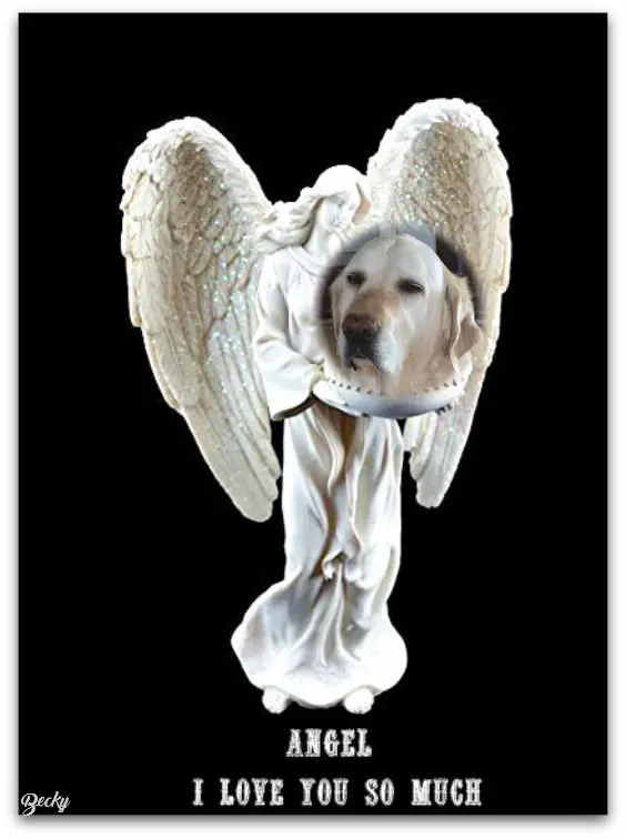 Andachtsbild von ❤️❤️❤️