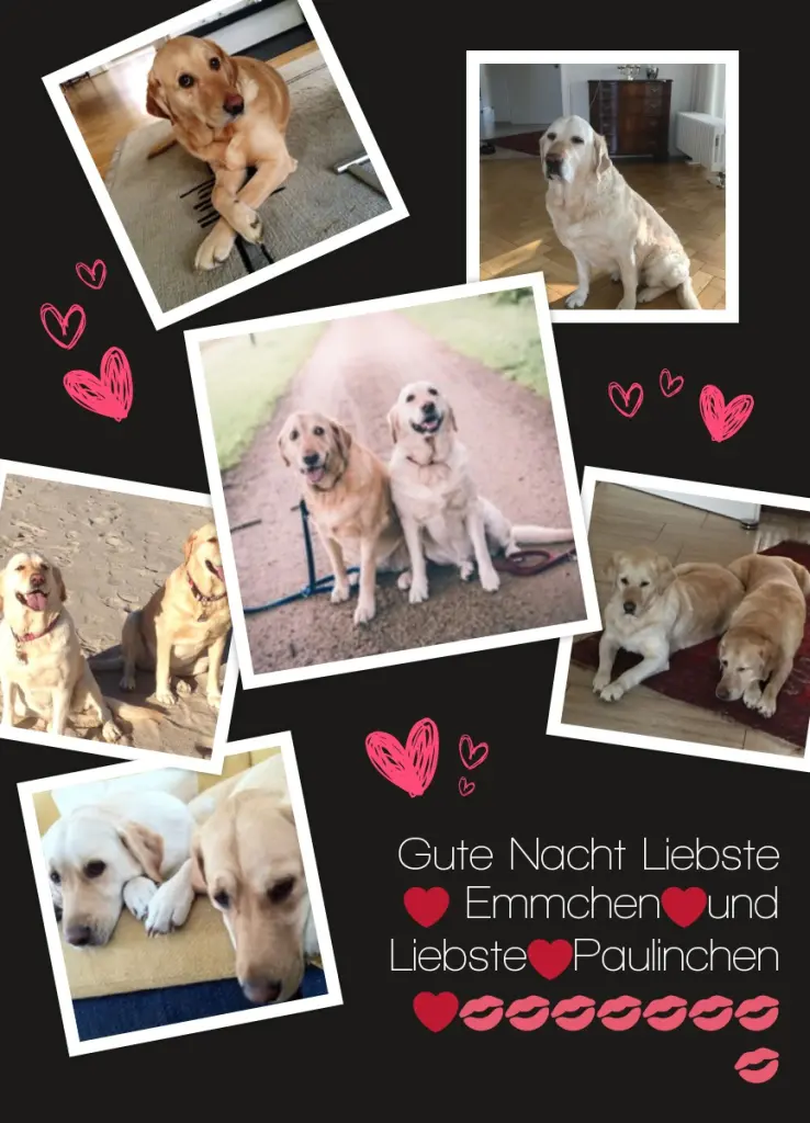 Andachtsbild von ❤️❤️❤️