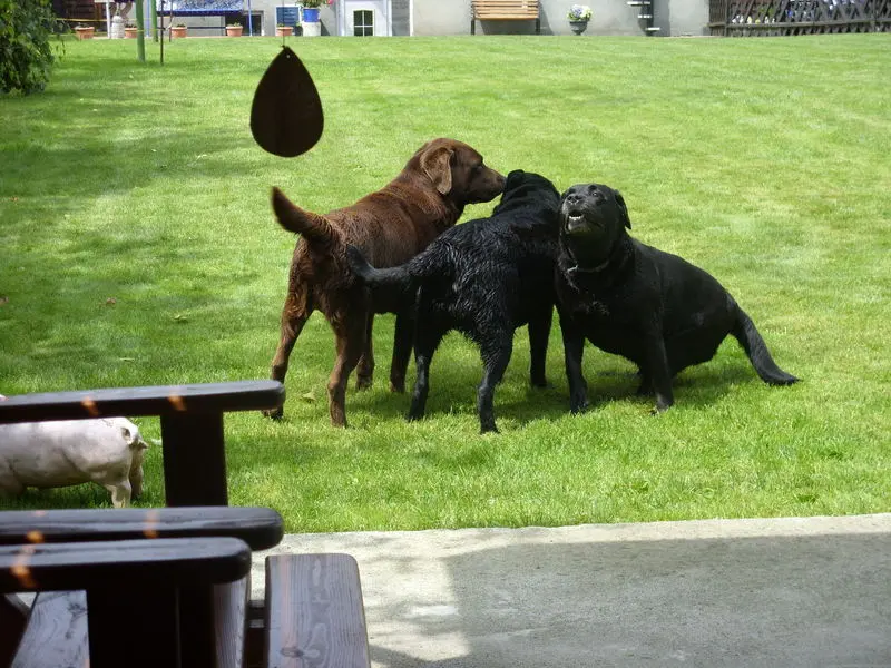 Andachtsbild von Unbekannt