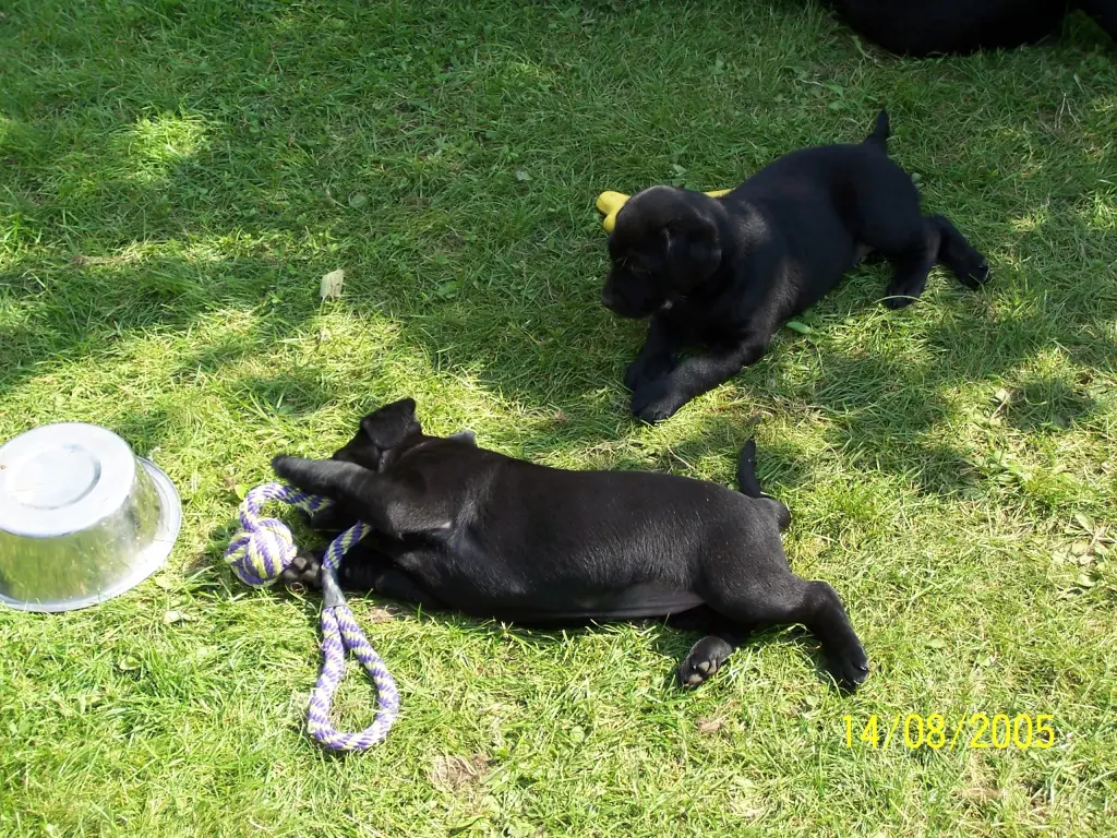 Andachtsbild von Unbekannt