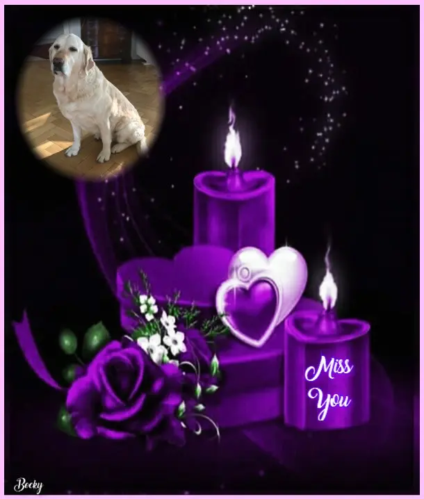 Andachtsbild von ❤️❤️❤️