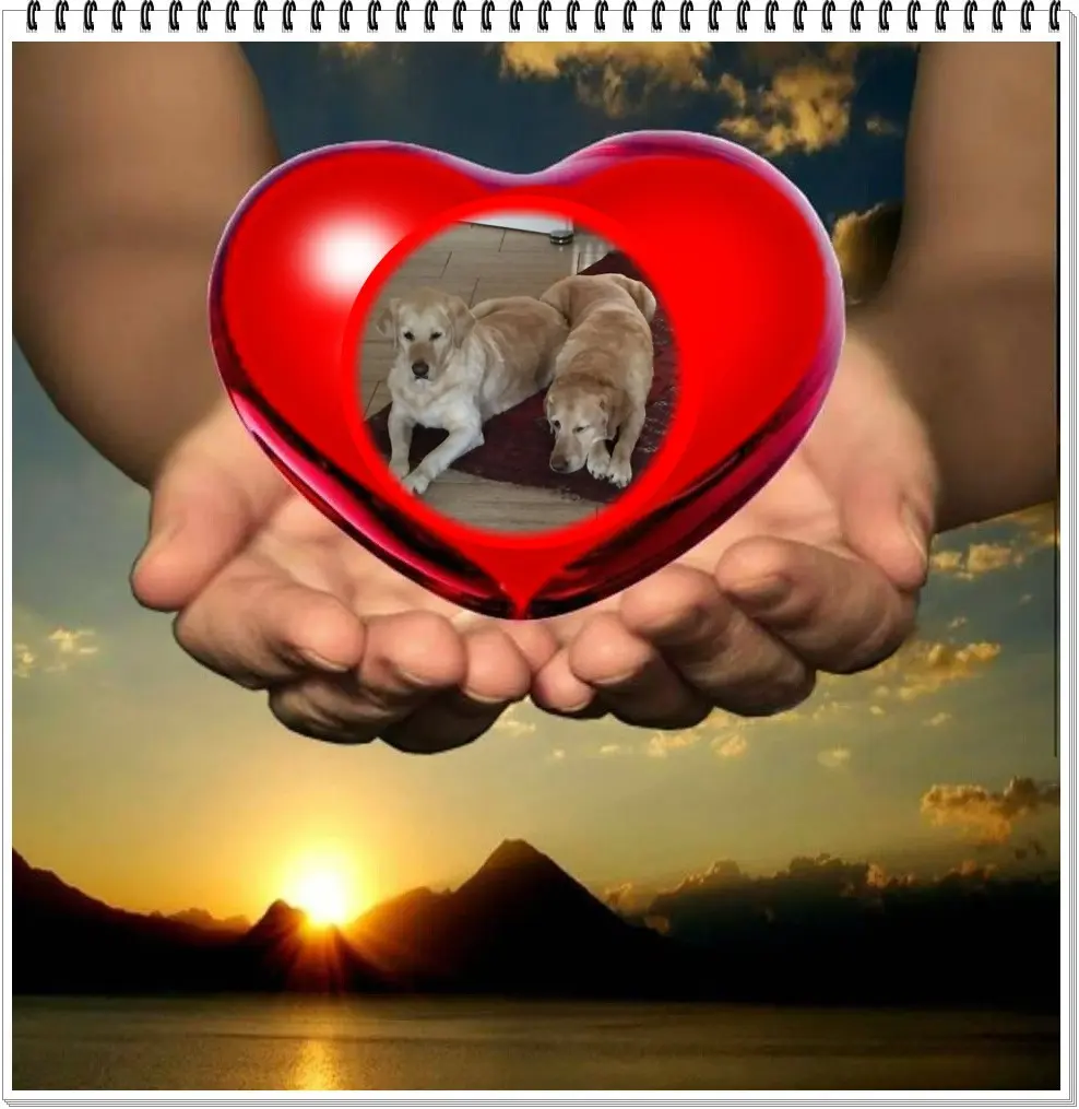 Andachtsbild von ❤️❤️❤️