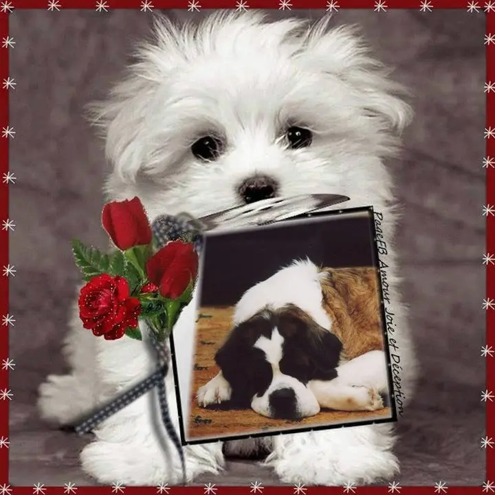 Andachtsbild von ❤️❤️❤️