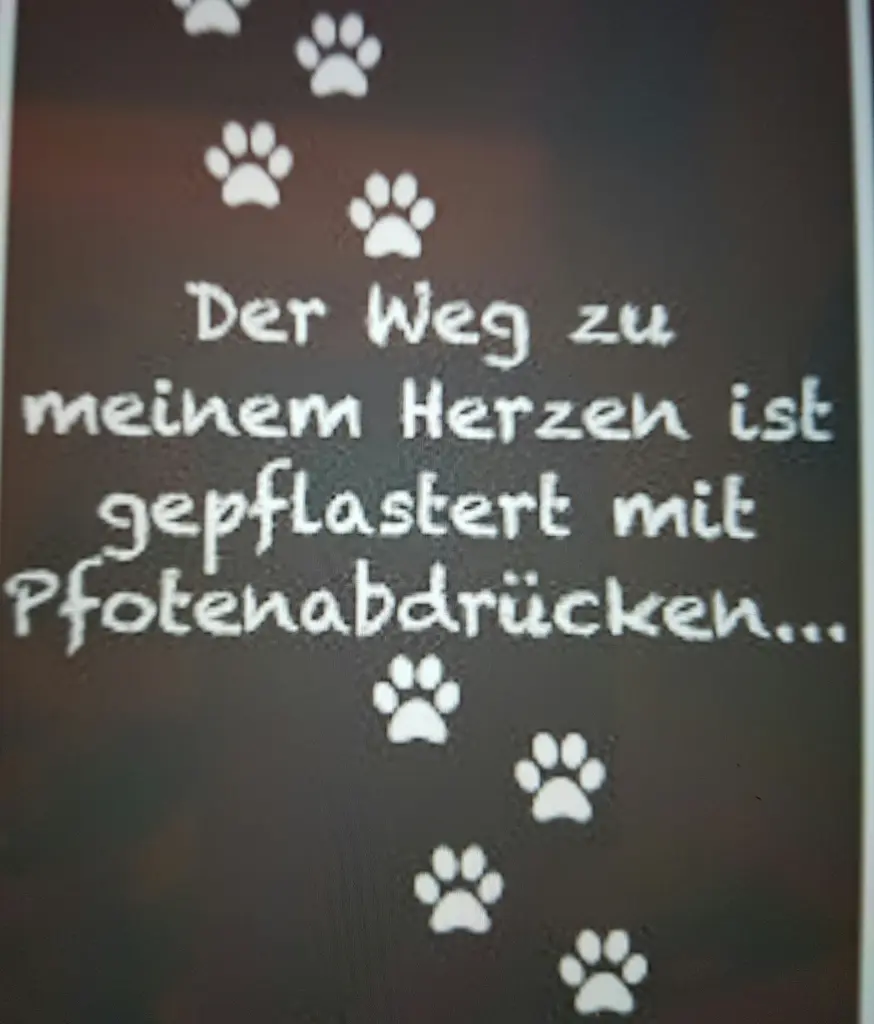 Andachtsbild von Brigitta mit Sam † 13.6.19