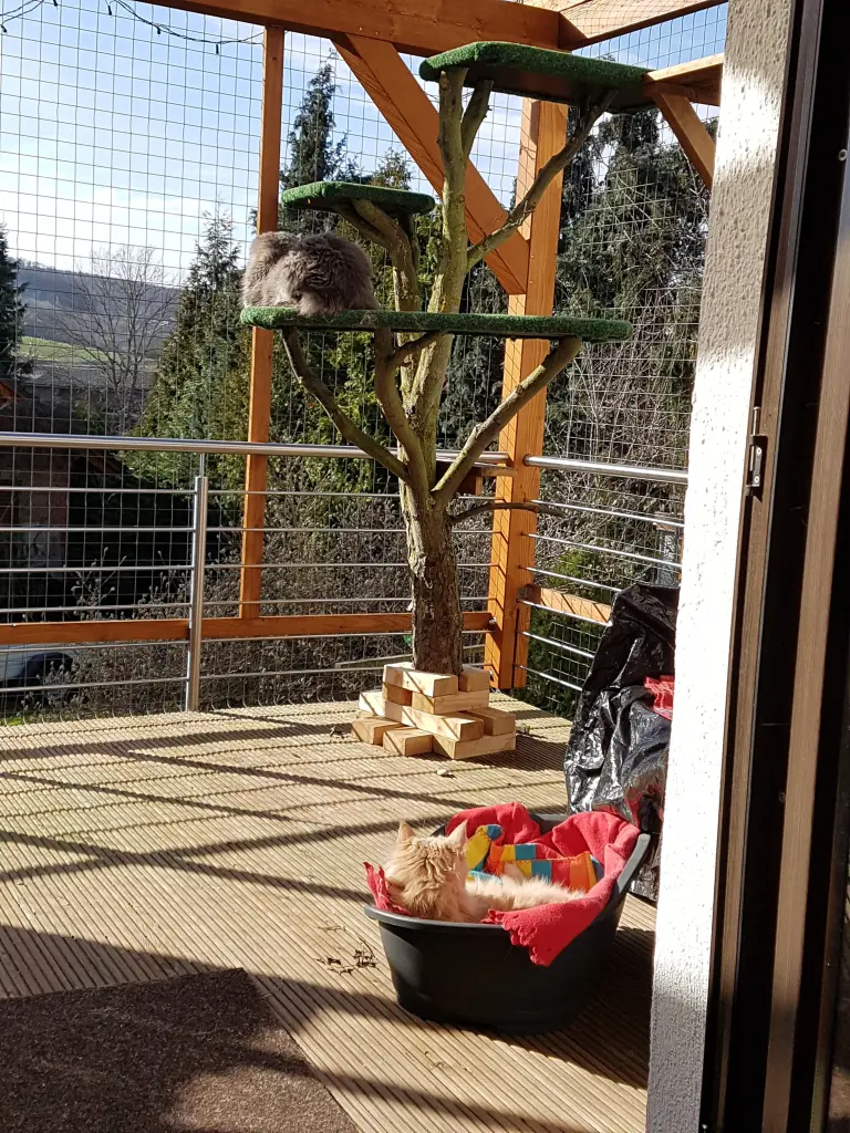 Andachtsbild von Brief von Sam♥