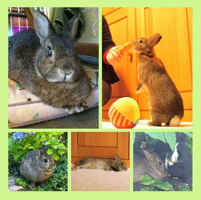 Andachtsbild von Vielen Dank 