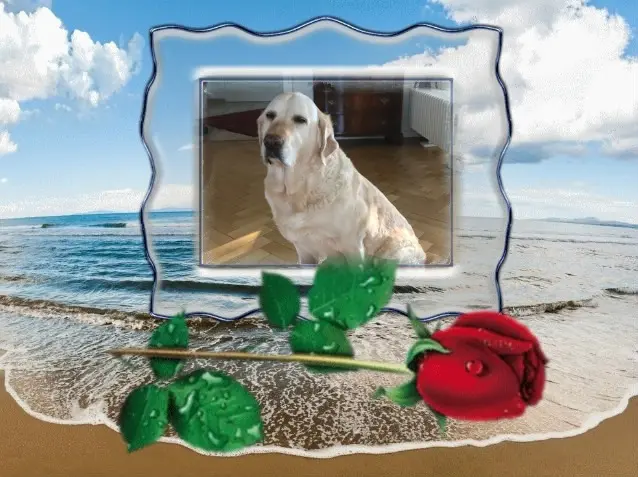 Andachtsbild von ❤️❤️❤️