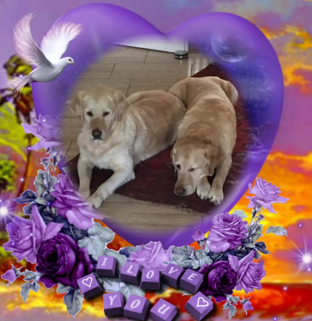 Andachtsbild von ❤️❤️❤️