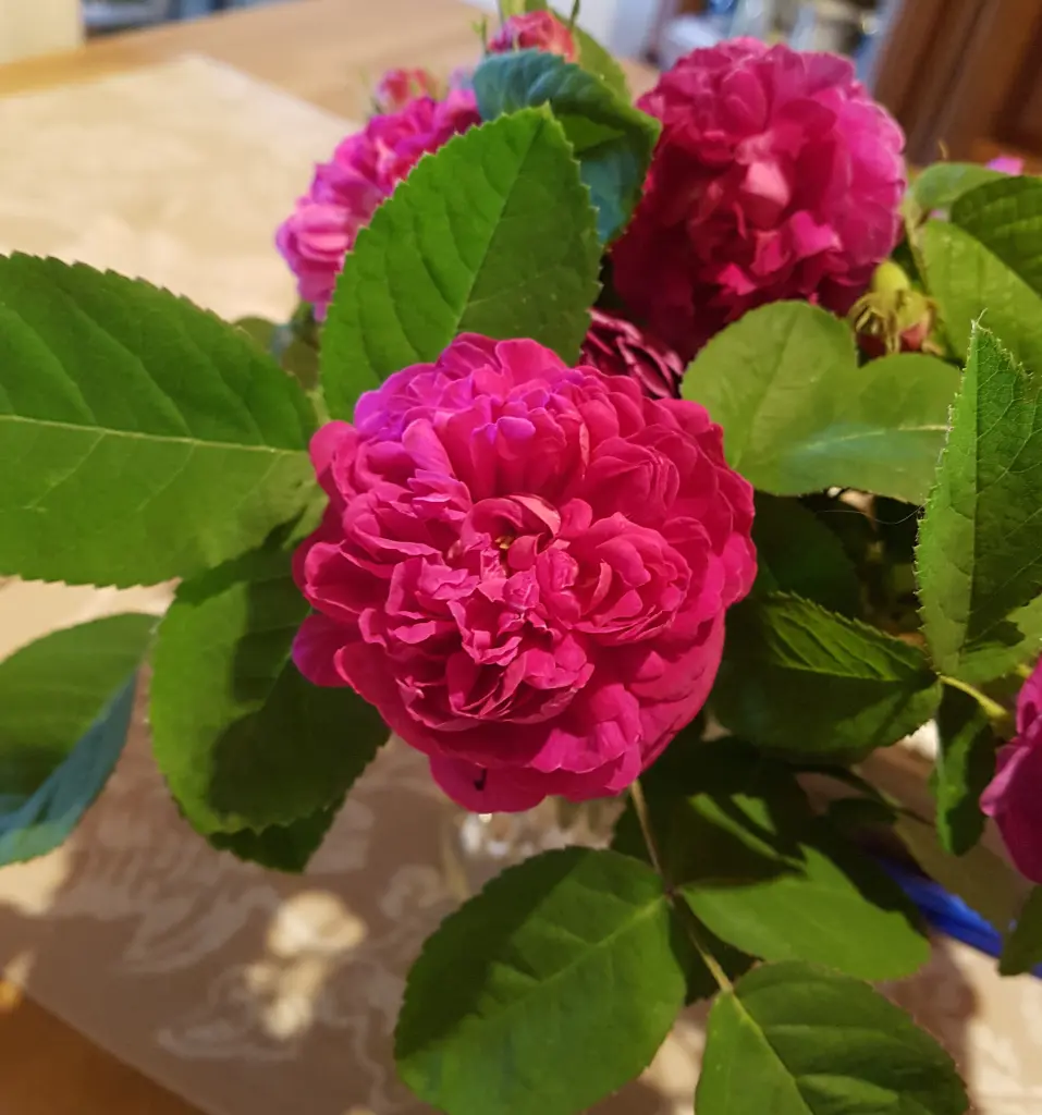 Andachtsbild von Brigitta